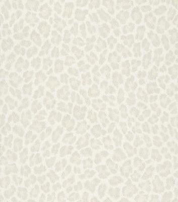 Фото Rasch African Queen 2 473636