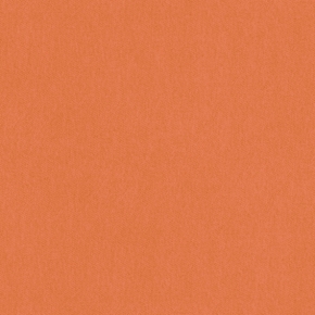 Фото BN International Bont 46890