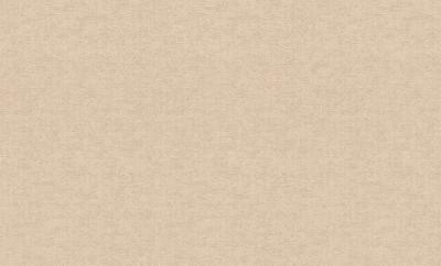 Rasch Maximum 10 924848