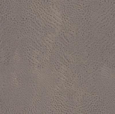 Фото Rasch African Queen 2014 423631