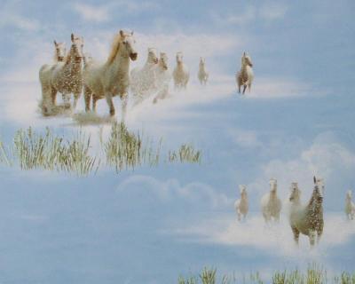 Фото A.S.Creation Decora Natur 4 941312