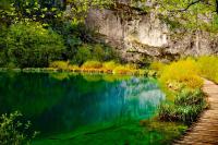 Мостик у озера