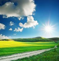 Дорога в поле