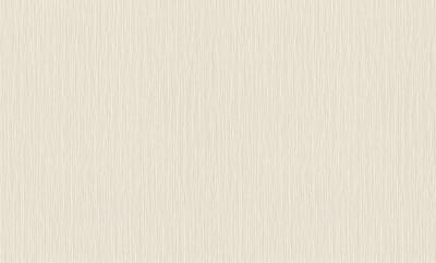 Фото Rasch Metal Spirit 977226