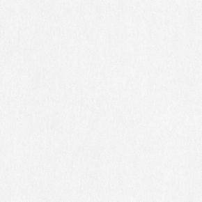 Фото BN International Bont 46882