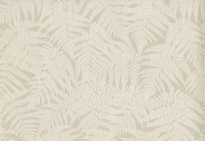 Фото BN International BN Exclusive 18142