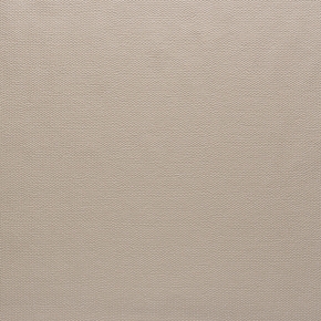 Фото BN International Neo 43800