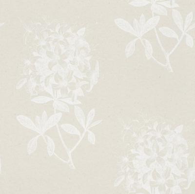 Фото Rasch Sensual 15 398939