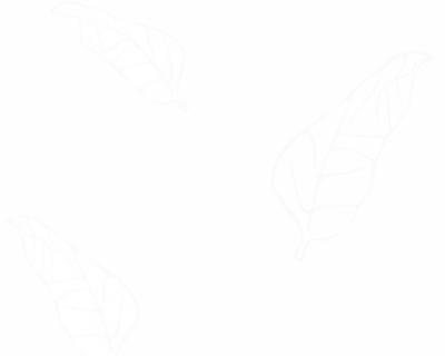 A.S.Creation Zanzibar 889744