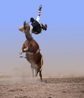 Ковбой на коне