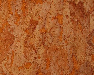 Фото A.S.Creation Decora Natur 4 662217