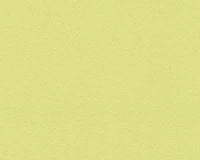 Фото A.S.Creation Meistervlies 5 3095-56