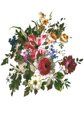 Фото A.S.Creation Kind of white DD100001