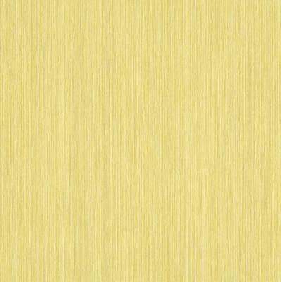 Rasch Perfecto 2014 497830