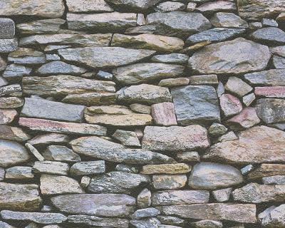 A.S.Creation Dekora Natur 6 95820-1