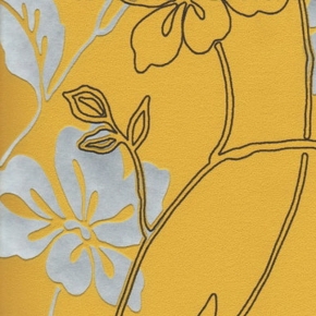 Фото BN International Jolly 46663