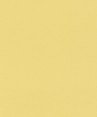 Фото Rasch Fresh Up 2015 496444