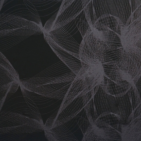 Фото BN International Motion 46601