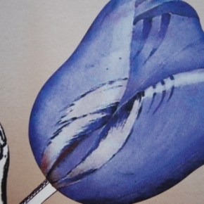 Фото Marburg Ulf Moritz Charisma 78781