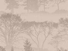 Фото Graham & Brown Elixir 50-205