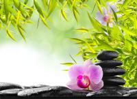 Камешки и розовая орхидея