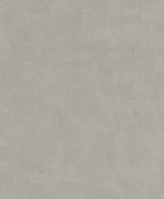 Фото Rasch Modern Surfaces 831757