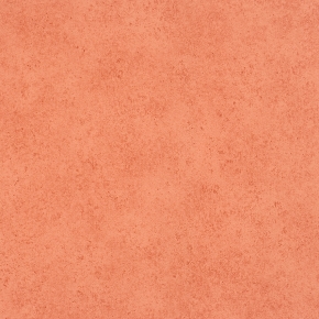 Фото BN International Elements 46552