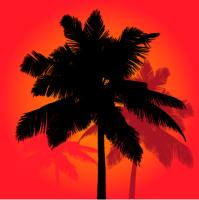 Пальма на оранжевом фоне