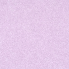 Фото BN International Gardens of Amsterdam 46125