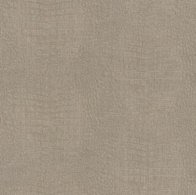 Фото Rasch African Queen 2014 423419