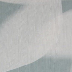 Фото BN International Silhouets 43234