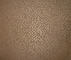 Фото BN International Champagne 50104