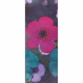 Фото Marburg Suprofil 2014 45321