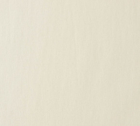 Фото BN International Inspire 45377