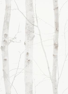 Фото Erismann Nordic Summer 1782-02