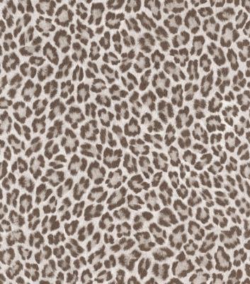 Фото Rasch African Queen 2 473629