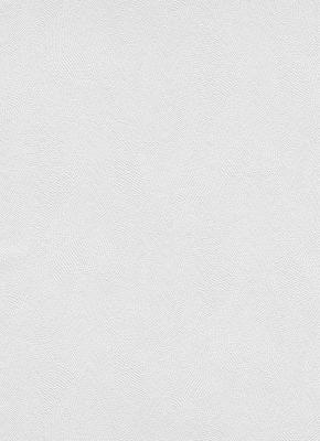 Фото Erismann RollOver Deco 4081-01