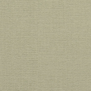 Фото BN International Glamour 43008