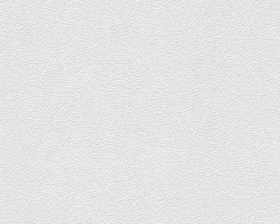 A.S.Creation Meistervlies Protect 2 260413