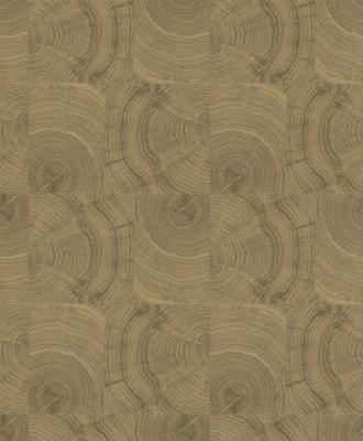 Фото Rasch Factory 2014 438826