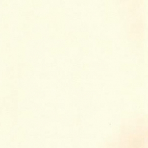 Фото Sandudd Hopealehti 4878-2