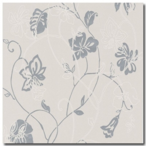 Фото BN International Jolly 46666