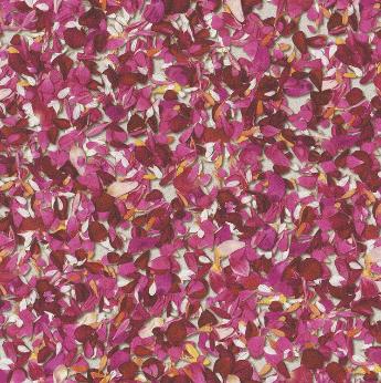 Фото Rasch b.b home passion 5 (2018) 476002