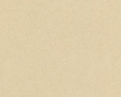 Фото A.S.Creation MV meets XXL 715197