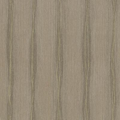 Фото P+S International Sinfonia 2015 42088-20