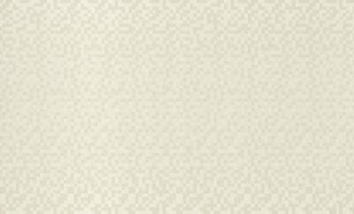 Rasch Maximum 10 924015