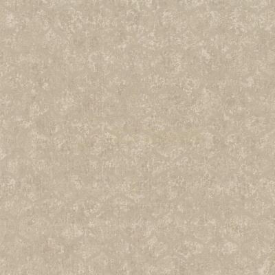 Фото Marburg Padua 56145