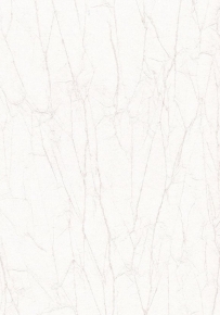 Фото Marburg Crush Gala 61886