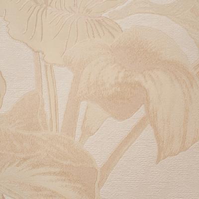 Фото Rasch Catania 2018 928921