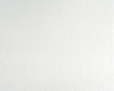 Фото A.S.Creation Meistervlies Pro 2 168917